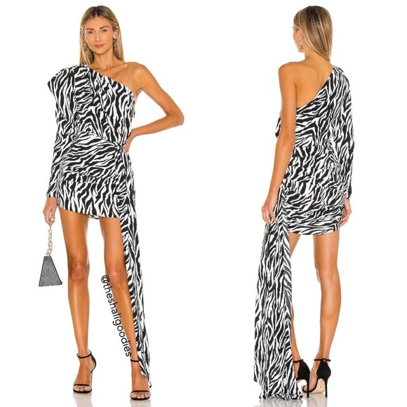 Bronx and Banco Dresses & Skirts - Bronx and Banco - Zebra Print One-Shoulder Dress
